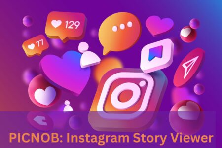 PICNOB: Instagram Story Viewer